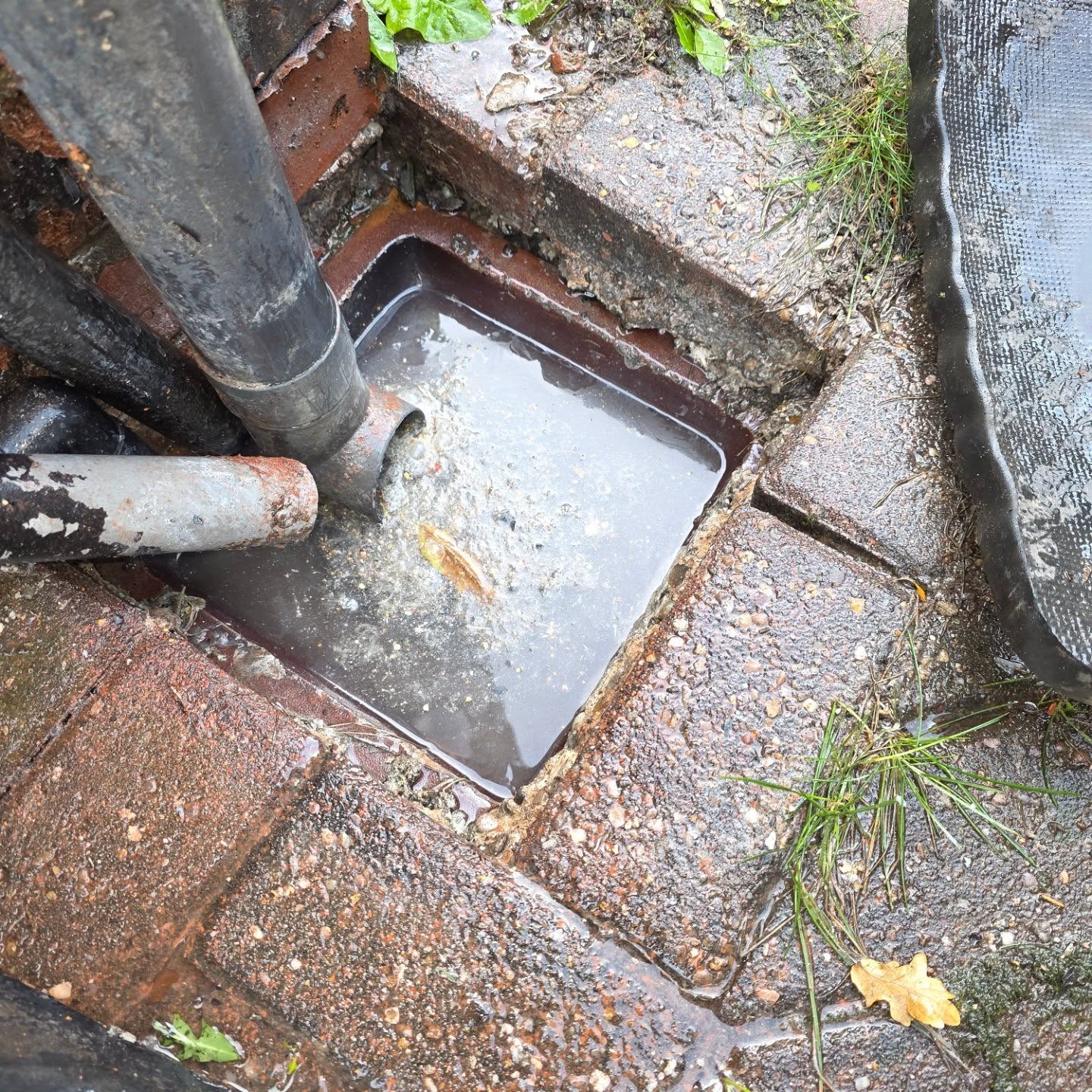 drain unblocking 1 1